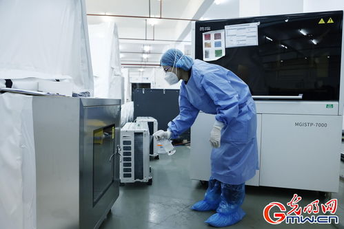 守滬者聯(lián)盟丨上海建成'火眼'實(shí)驗(yàn)室，日檢測(cè)通量可達(dá)10萬(wàn)單管